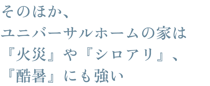 その他、ユニバーサルホームの家は『火災』や『シロアリ』、『酷暑』にも強い