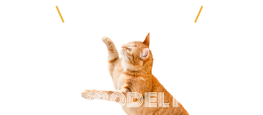 一度モデルハウスで床暖房を体験しよう！