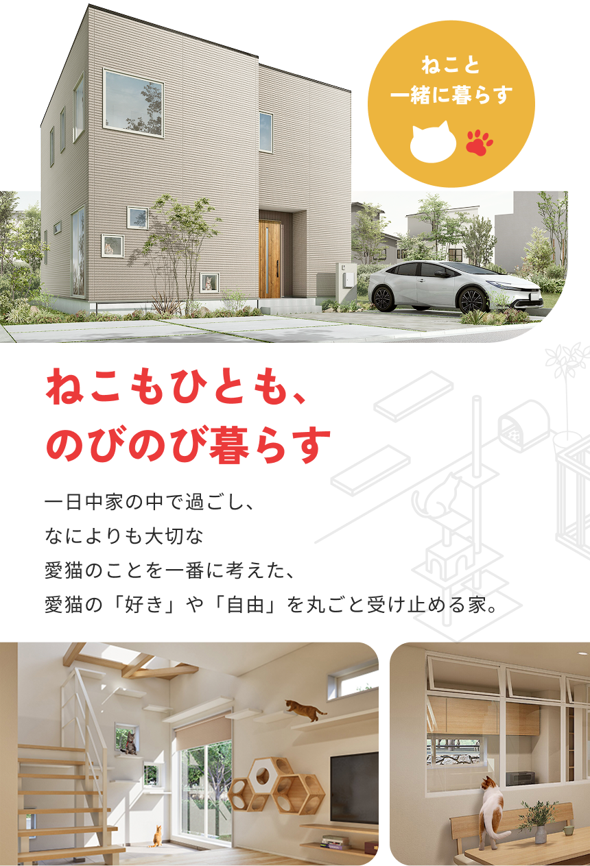 ねこもひとも、のびのび暮らす