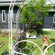 内観・外観ディテール